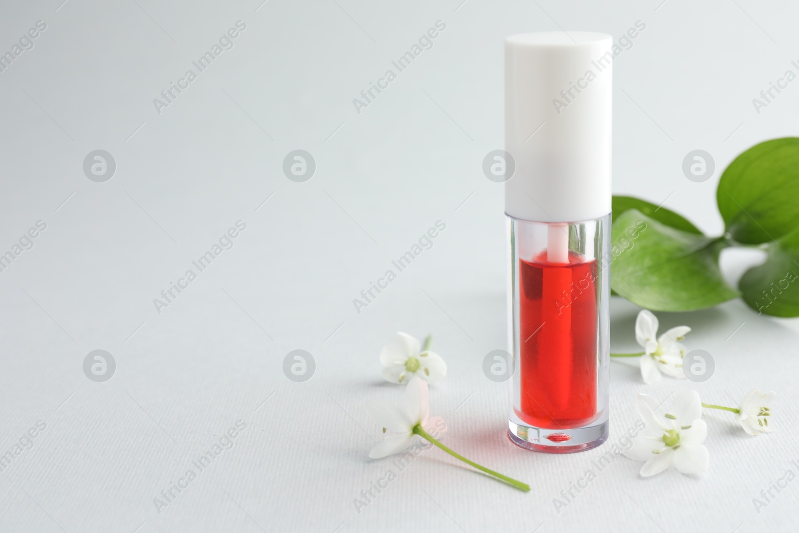 Photo of Lip oil and flowers on white background, closeup. Space for text