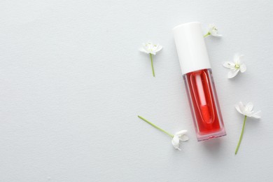 Photo of Lip oil and flowers on white background, flat lay. Space for text