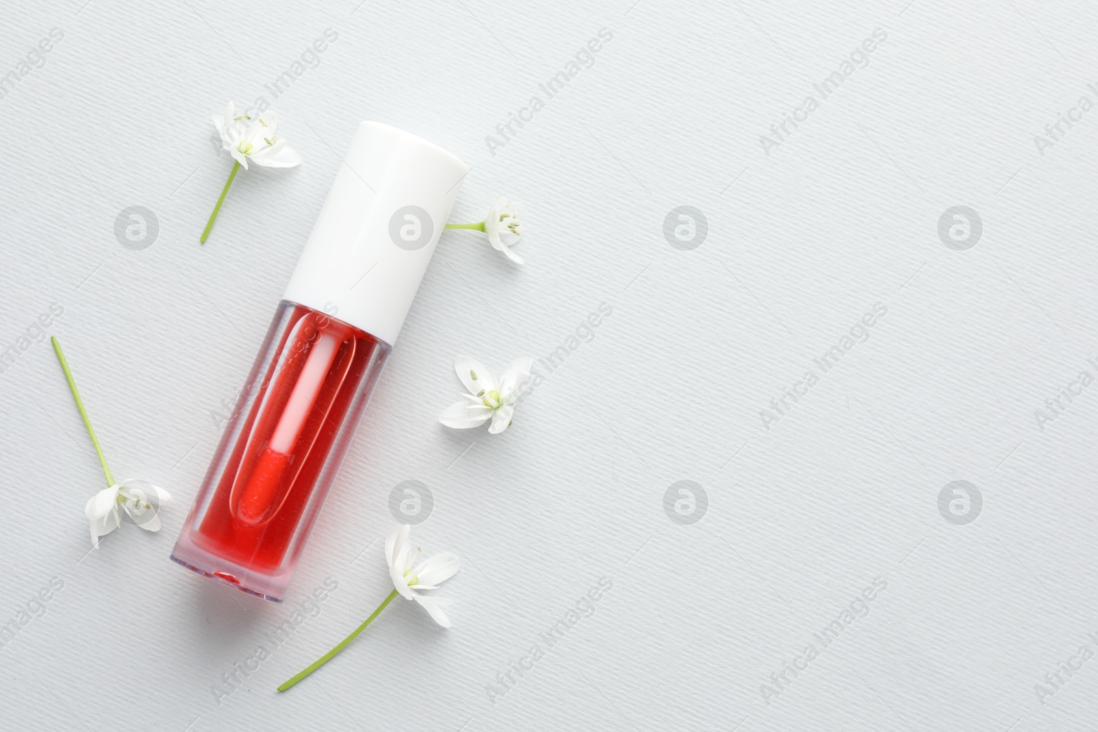 Photo of Lip oil and flowers on white background, flat lay. Space for text