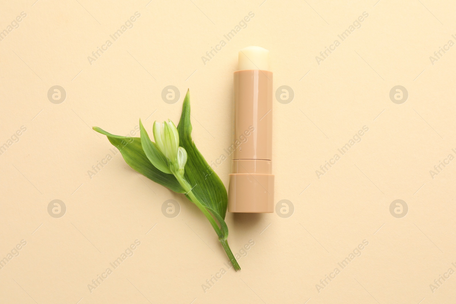 Photo of Lip balm and flower with leaves on beige background, top view