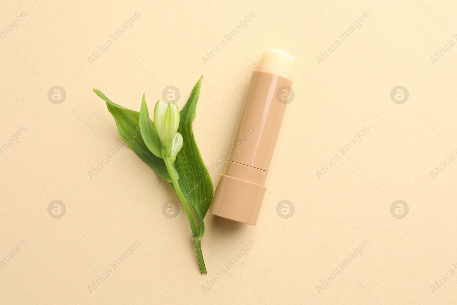 Photo of Lip balm and flower with leaves on beige background, top view