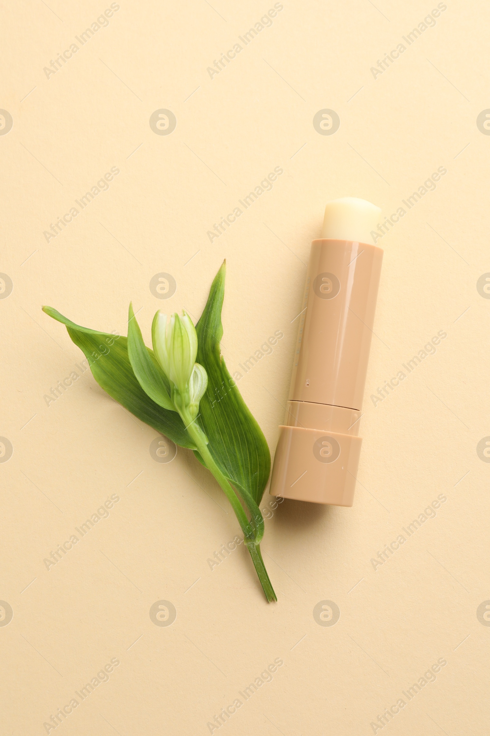 Photo of Lip balm and flower with leaves on beige background, top view