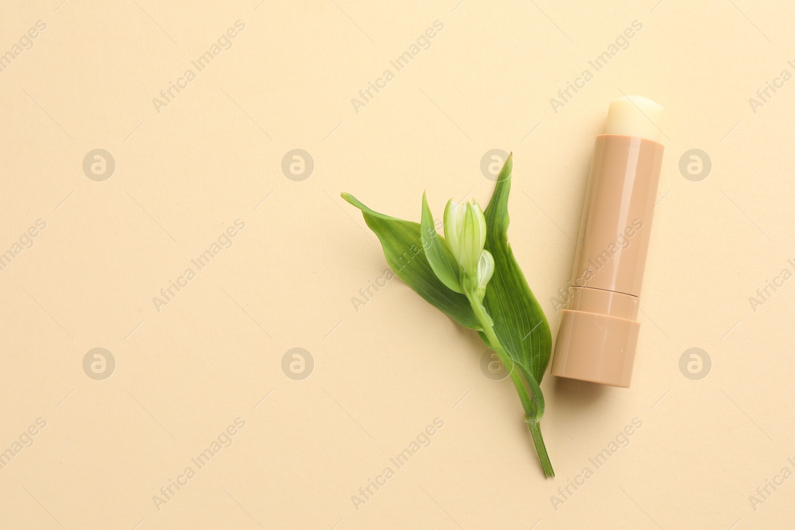 Photo of Lip balm and flower with leaves on beige background, top view. Space for text