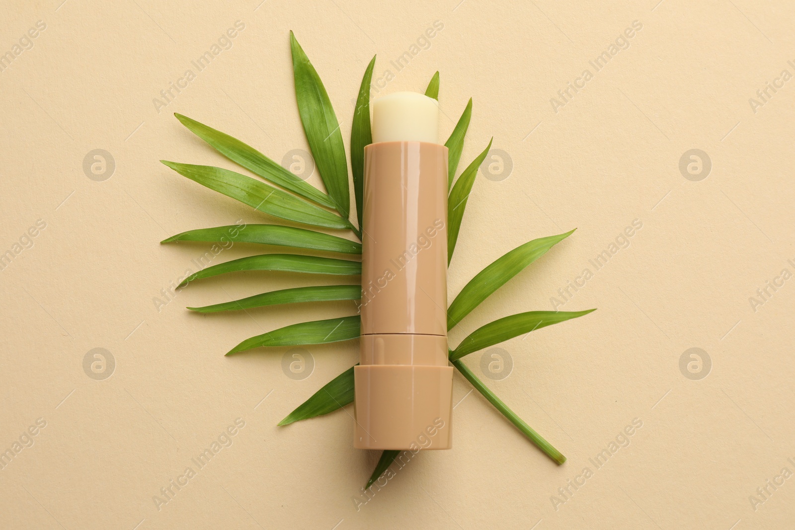 Photo of Lip balm and leaves on beige background, top view