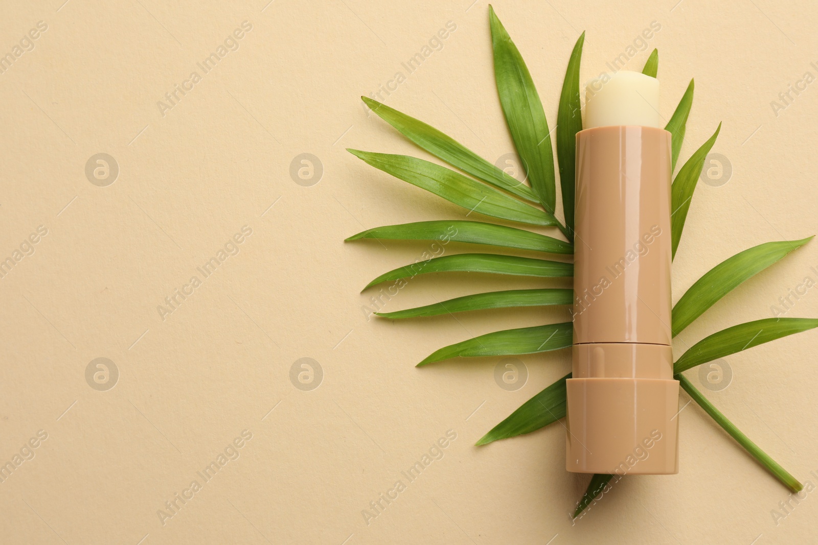 Photo of Lip balm and leaves on beige background, top view. Space for text