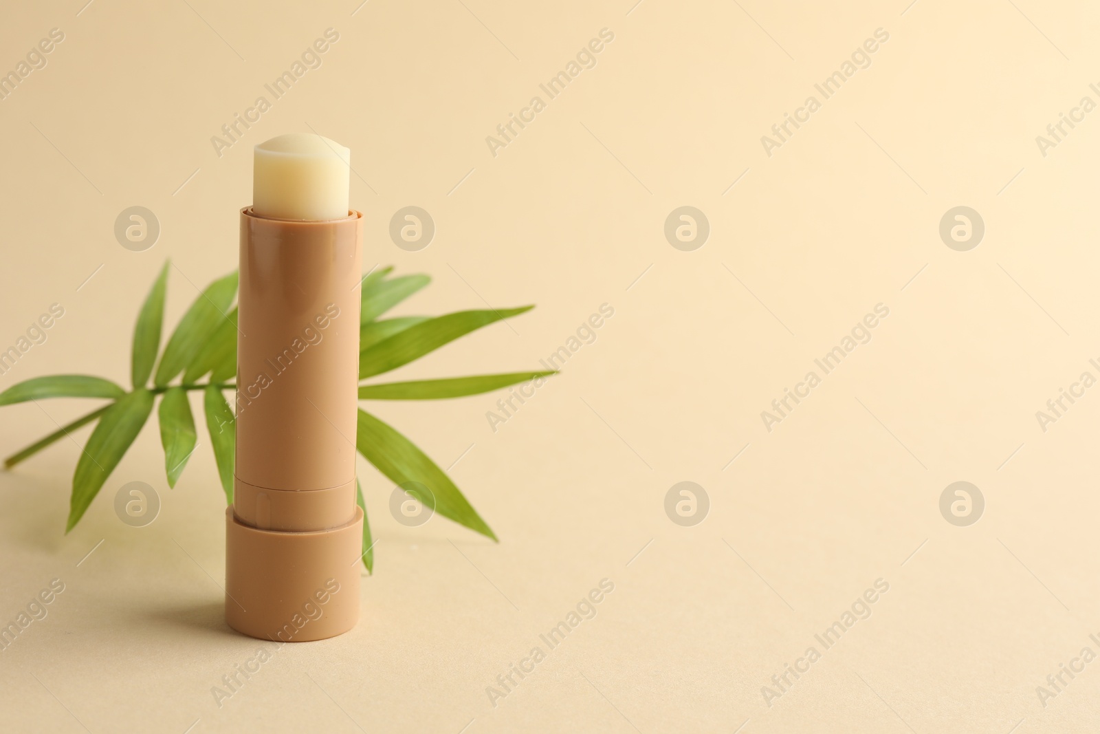 Photo of Lip balm and leaves on beige background, closeup. Space for text