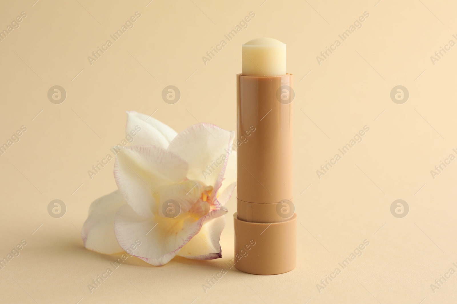 Photo of Lip balm and flower on beige background, closeup