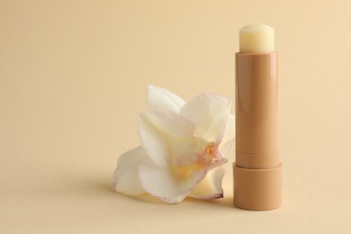 Photo of Lip balm and flower on beige background, closeup. Space for text