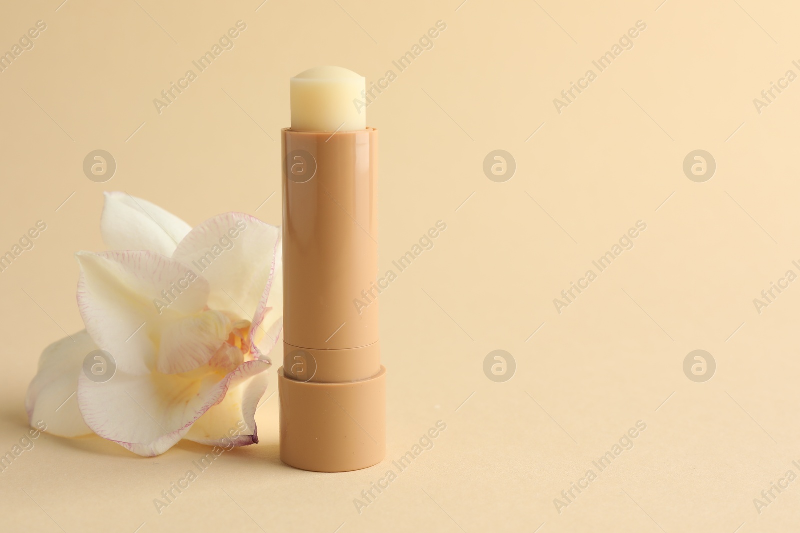 Photo of Lip balm and flower on beige background, closeup. Space for text