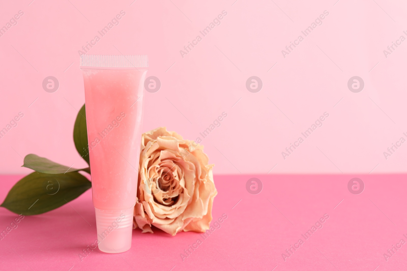 Photo of Lip balm and flower on pink background, closeup. Space for text