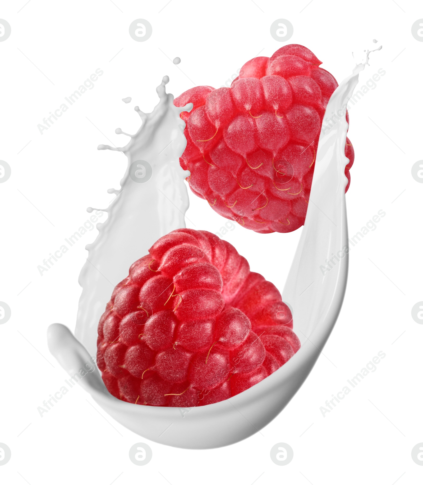 Image of Milkshake with fresh raspberries on white background