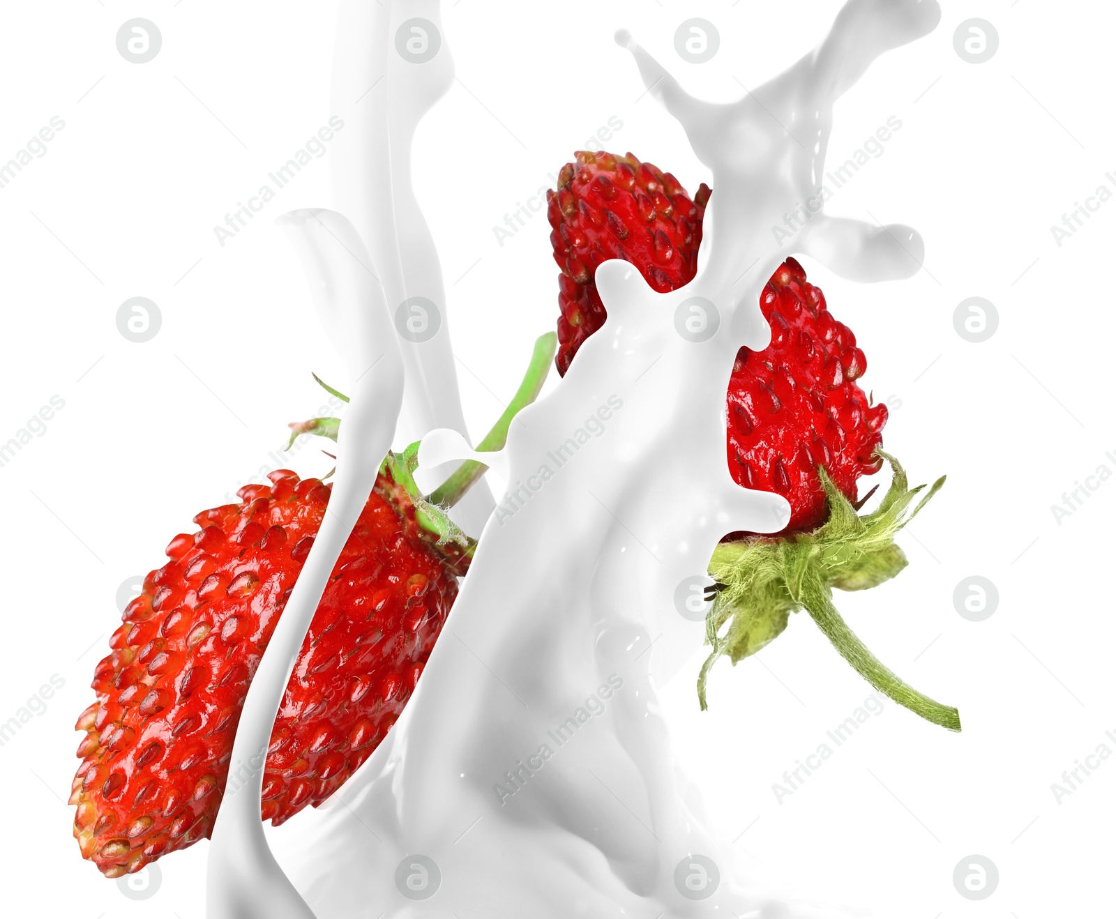 Image of Milkshake with fresh strawberries on white background