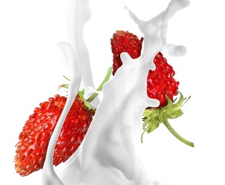 Milkshake with fresh strawberries on white background