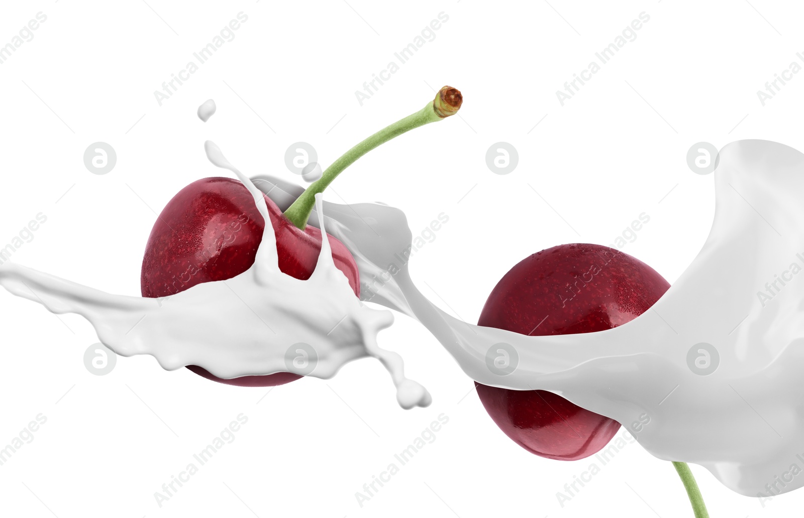 Image of Milkshake with fresh cherries on white background