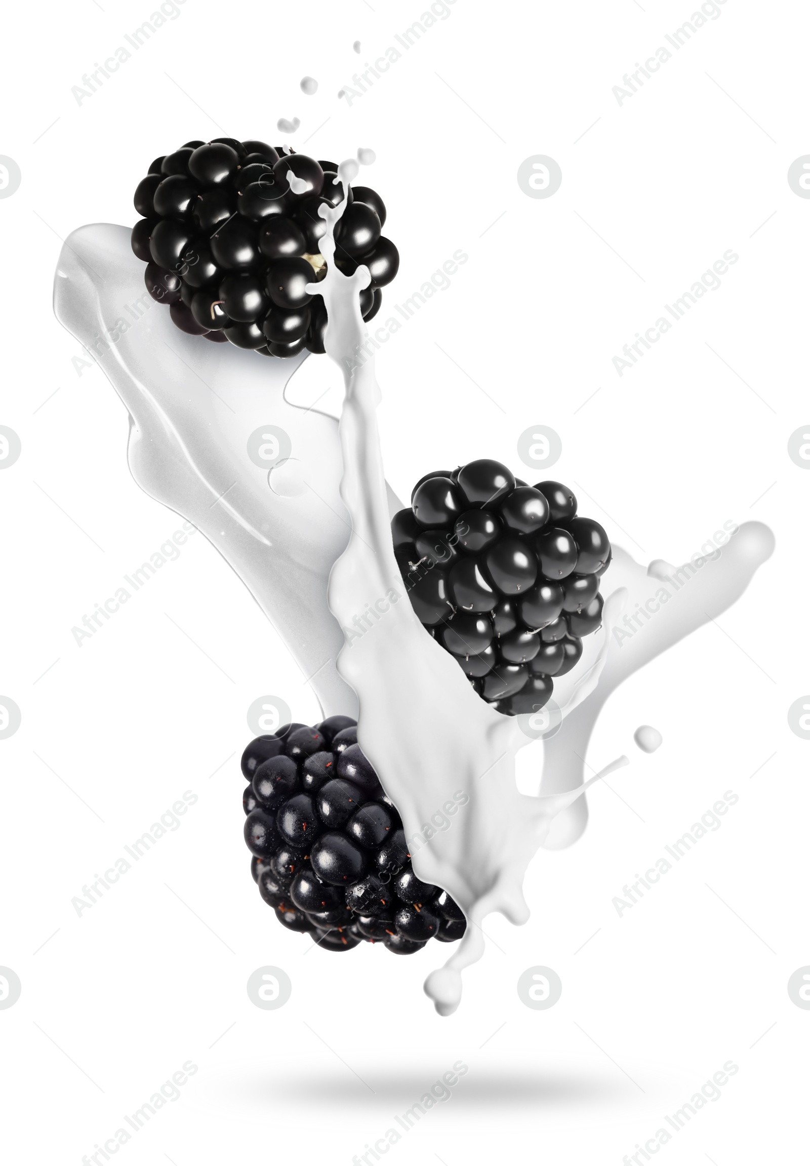 Image of Milkshake with fresh blackberries on white background