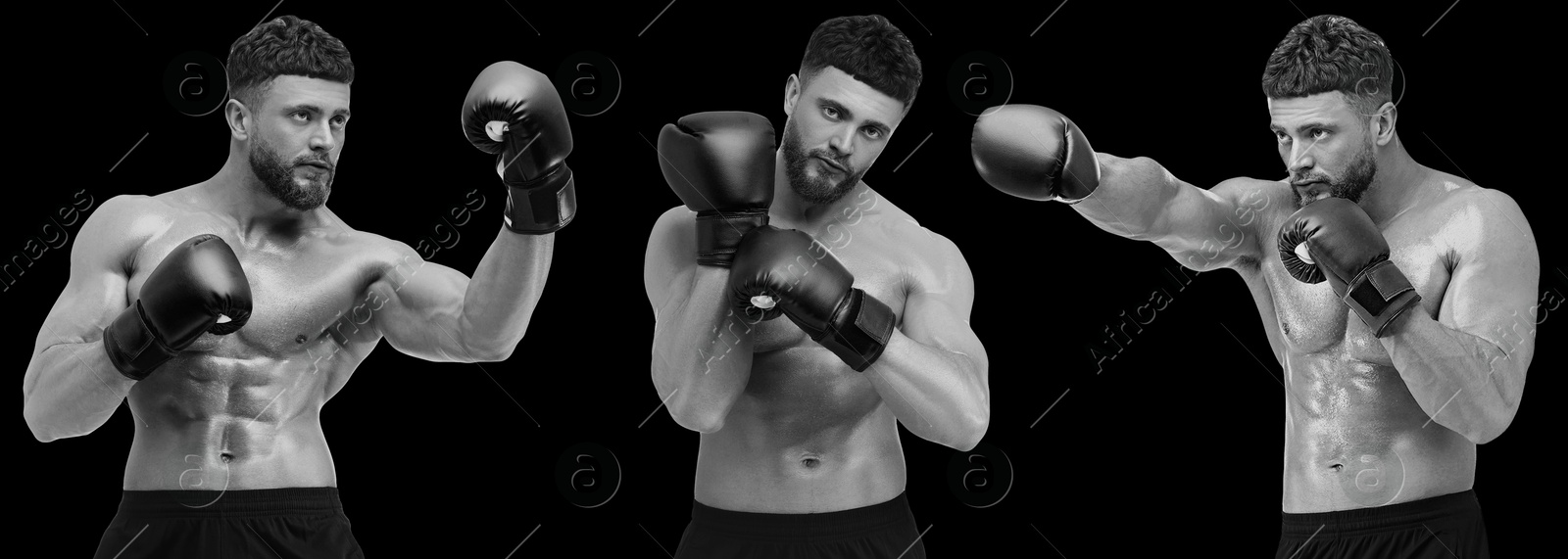 Image of Man wearing boxing gloves, black-and-white toning. Collage of photos, banner design