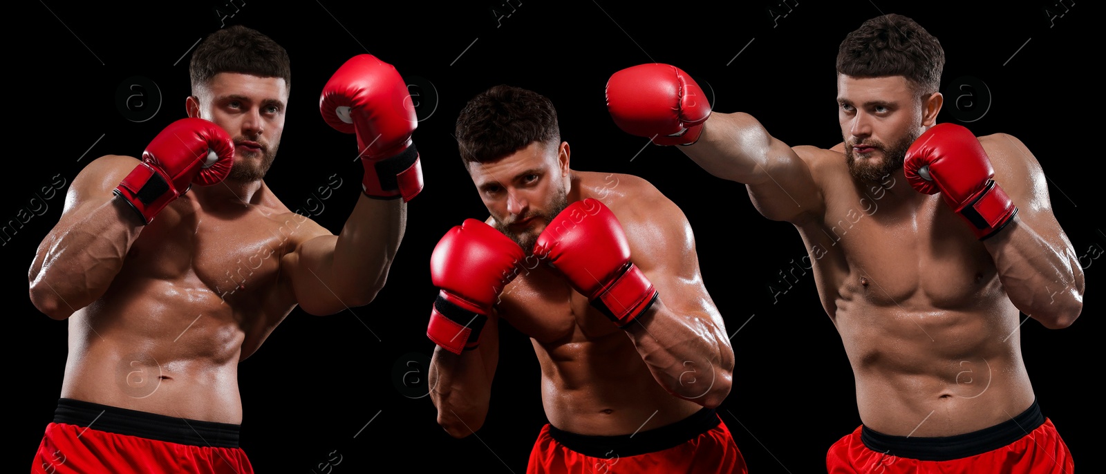 Image of Fighter practicing in boxing gloves on black background. Collage of photos, banner design