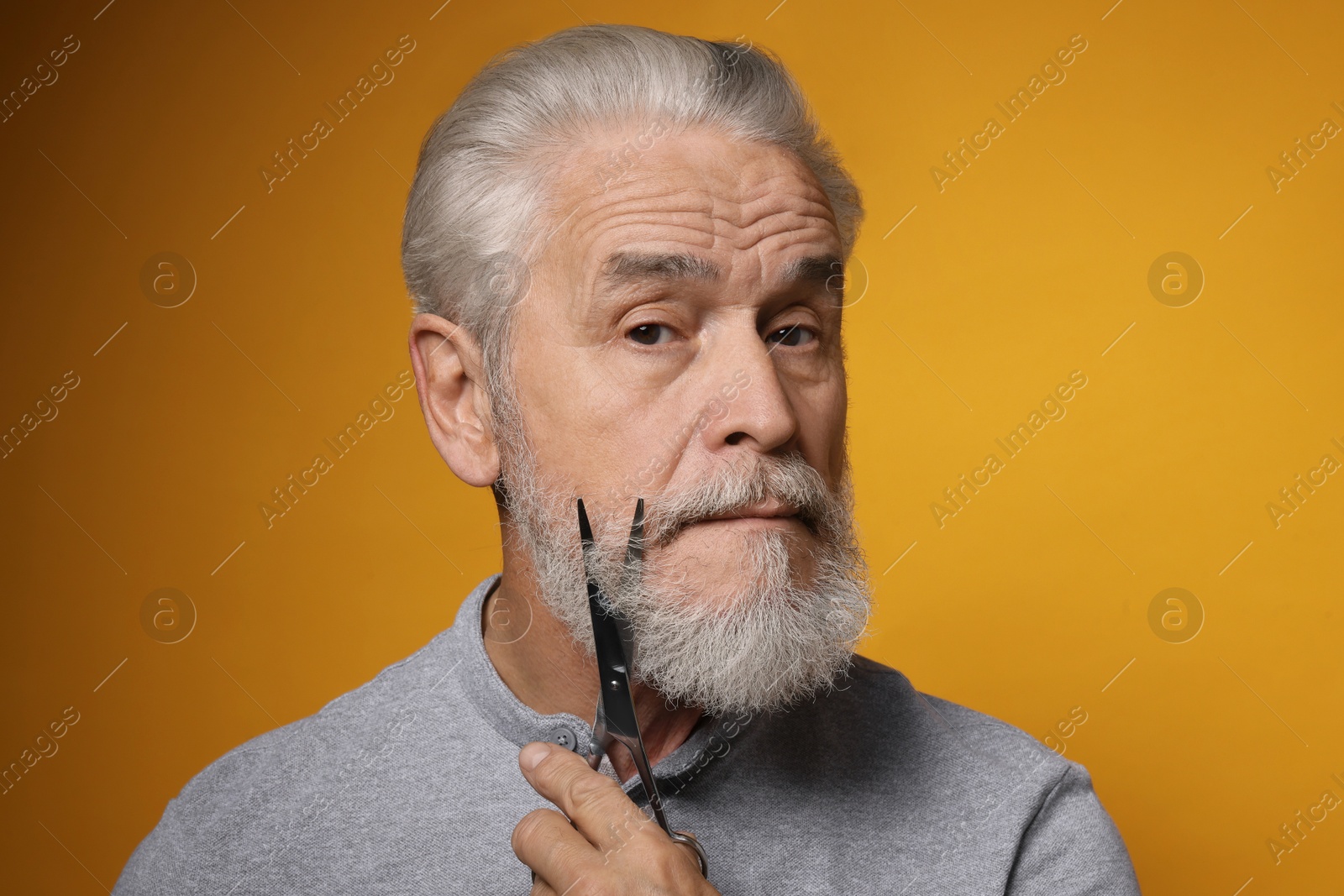 Photo of Senior man trimming beard with scissors on orange background