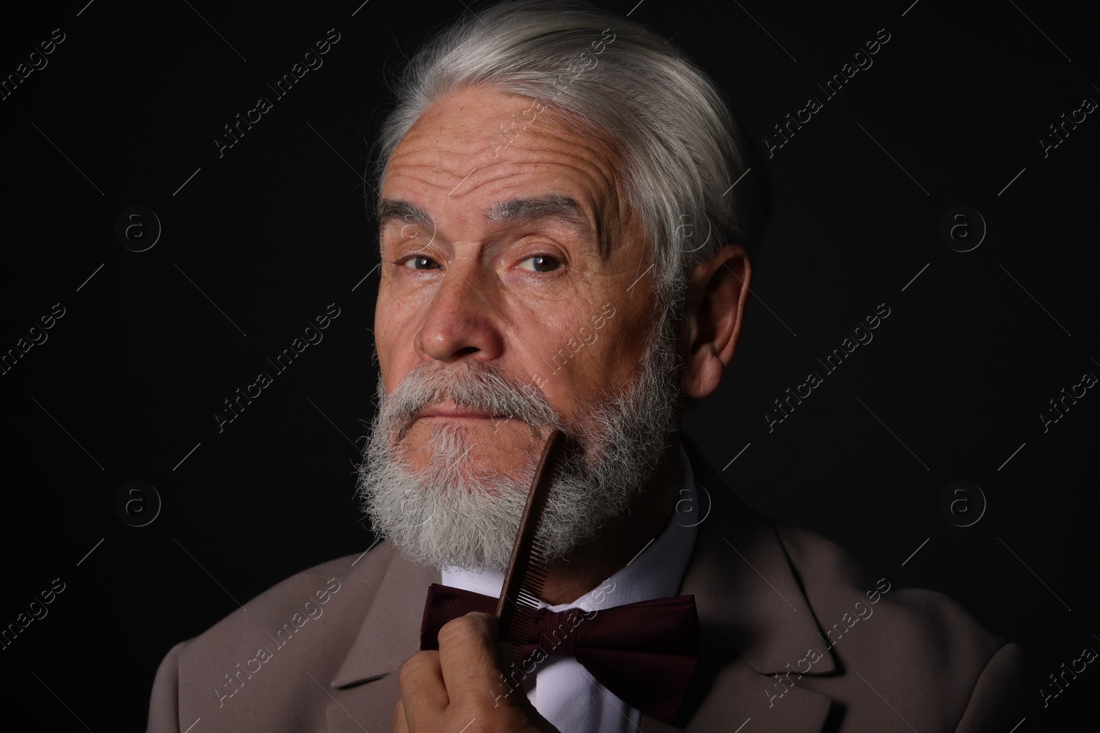 Photo of Senior man combing beard on black background