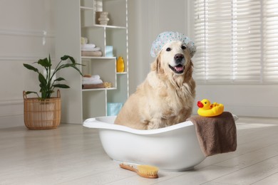 Photo of Cute dog with shower cap in small bathtub and bath accessories at home