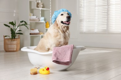 Photo of Cute dog with shower cap in small bathtub and bath accessories at home