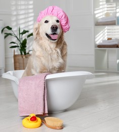 Photo of Cute dog with shower cap in small bathtub and bath accessories at home