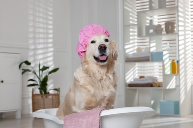 Photo of Cute dog with shower cap and towel in small bathtub at home