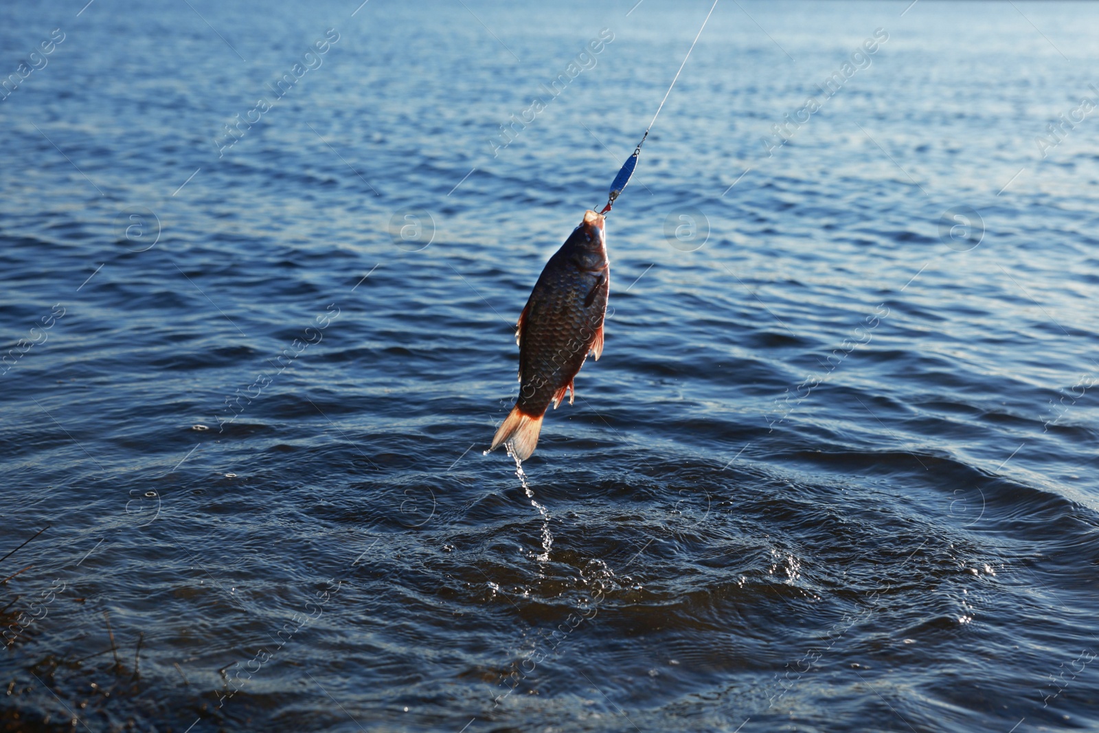 Photo of Catching fish on hook in river. Fishing day