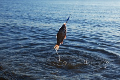 Photo of Catching fish on hook in river. Fishing day