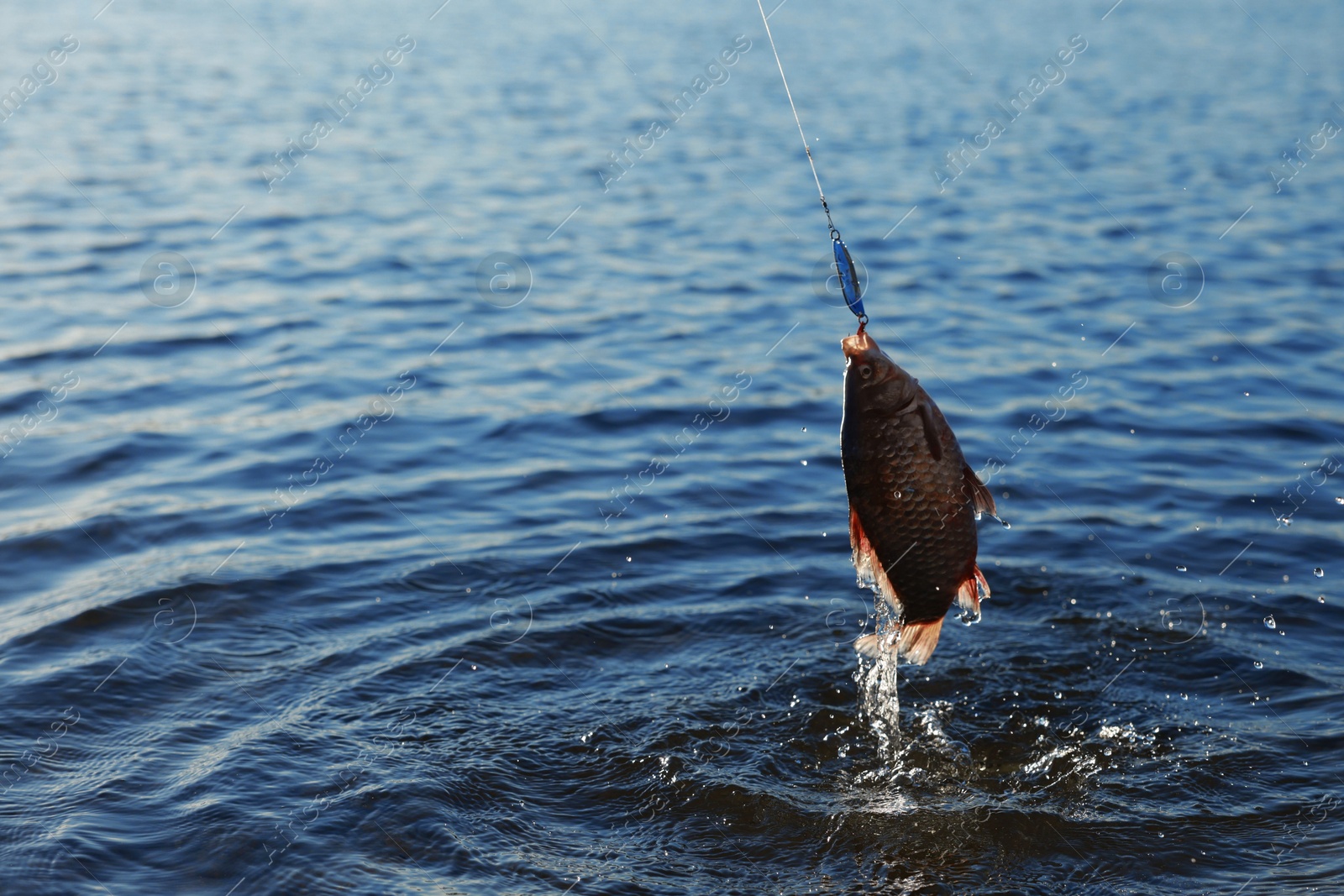 Photo of Catching fish on hook in river. Fishing day