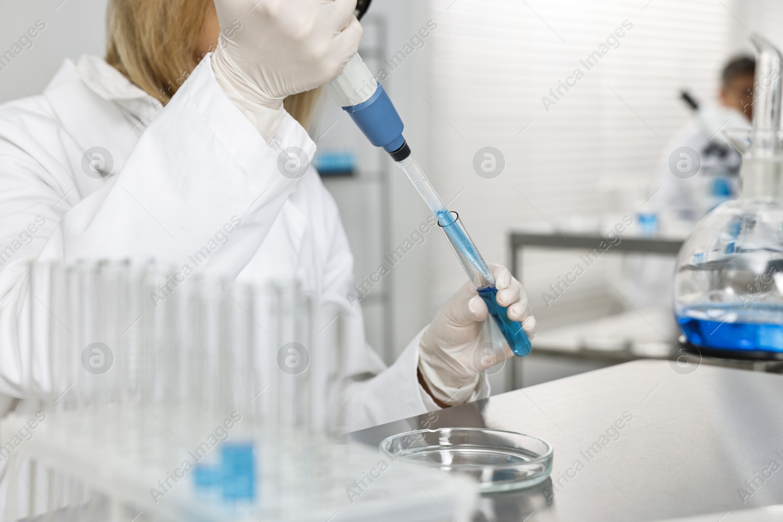 Photo of Scientist with micropipette and test tube working in laboratory, closeup