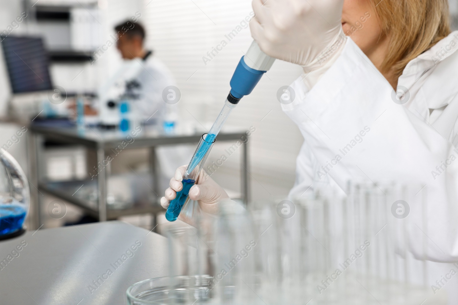 Photo of Scientist with micropipette and test tube working in laboratory, closeup