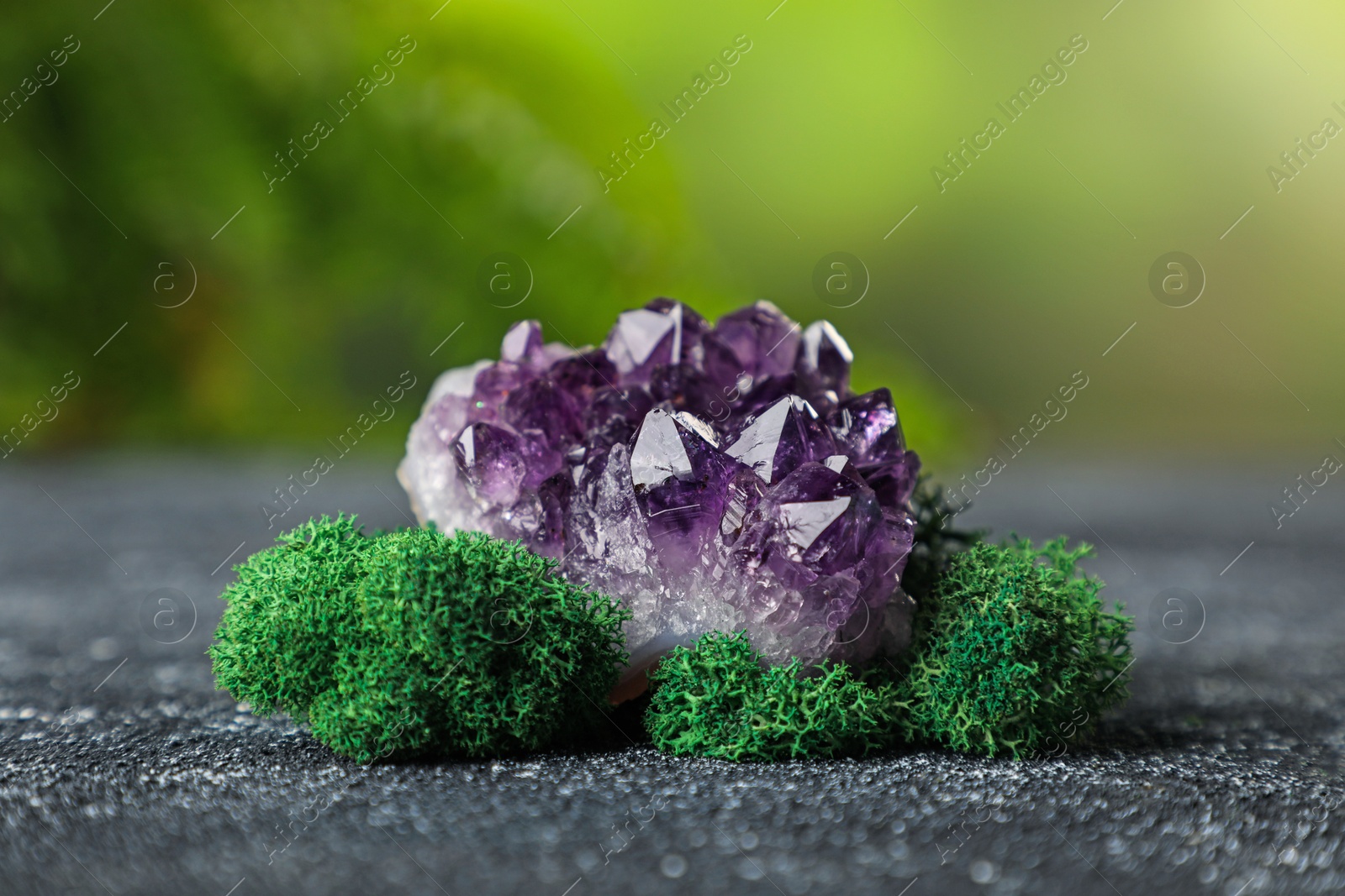 Photo of Beautiful amethyst gemstone and moss on grey textured table