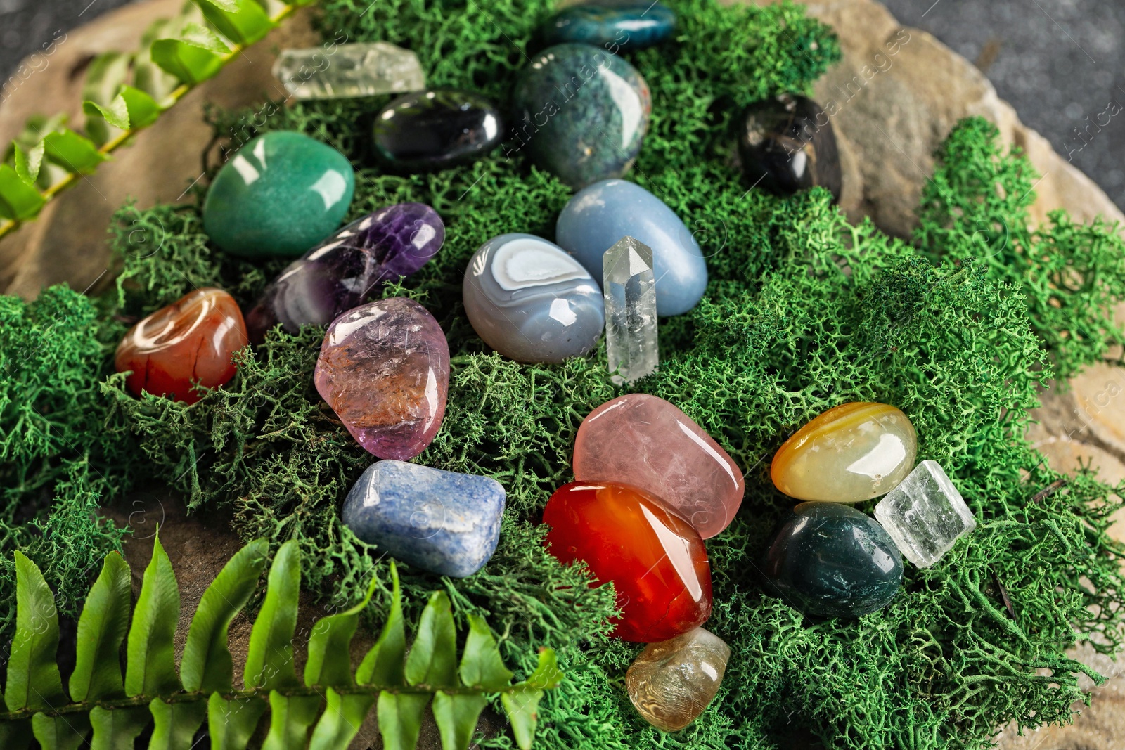 Photo of Different natural gemstones and moss on stone, closeup