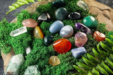 Photo of Different natural gemstones and moss on stone, closeup