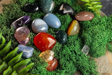 Photo of Different natural gemstones and moss on stone, closeup