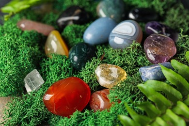 Photo of Different natural gemstones and moss on stone, closeup