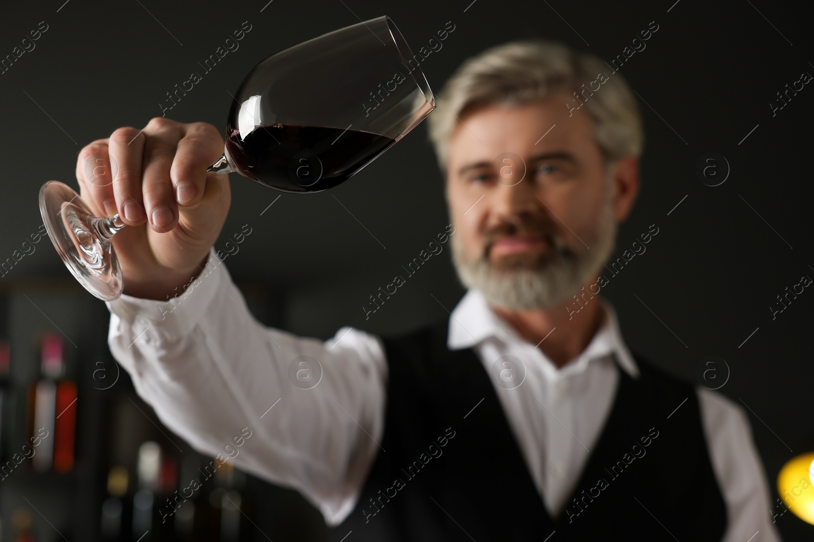 Photo of Professional sommelier analyzing quality of red wine indoors, selective focus