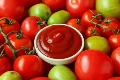 Photo of Ketchup in bowl and fresh tomatoes, closeup