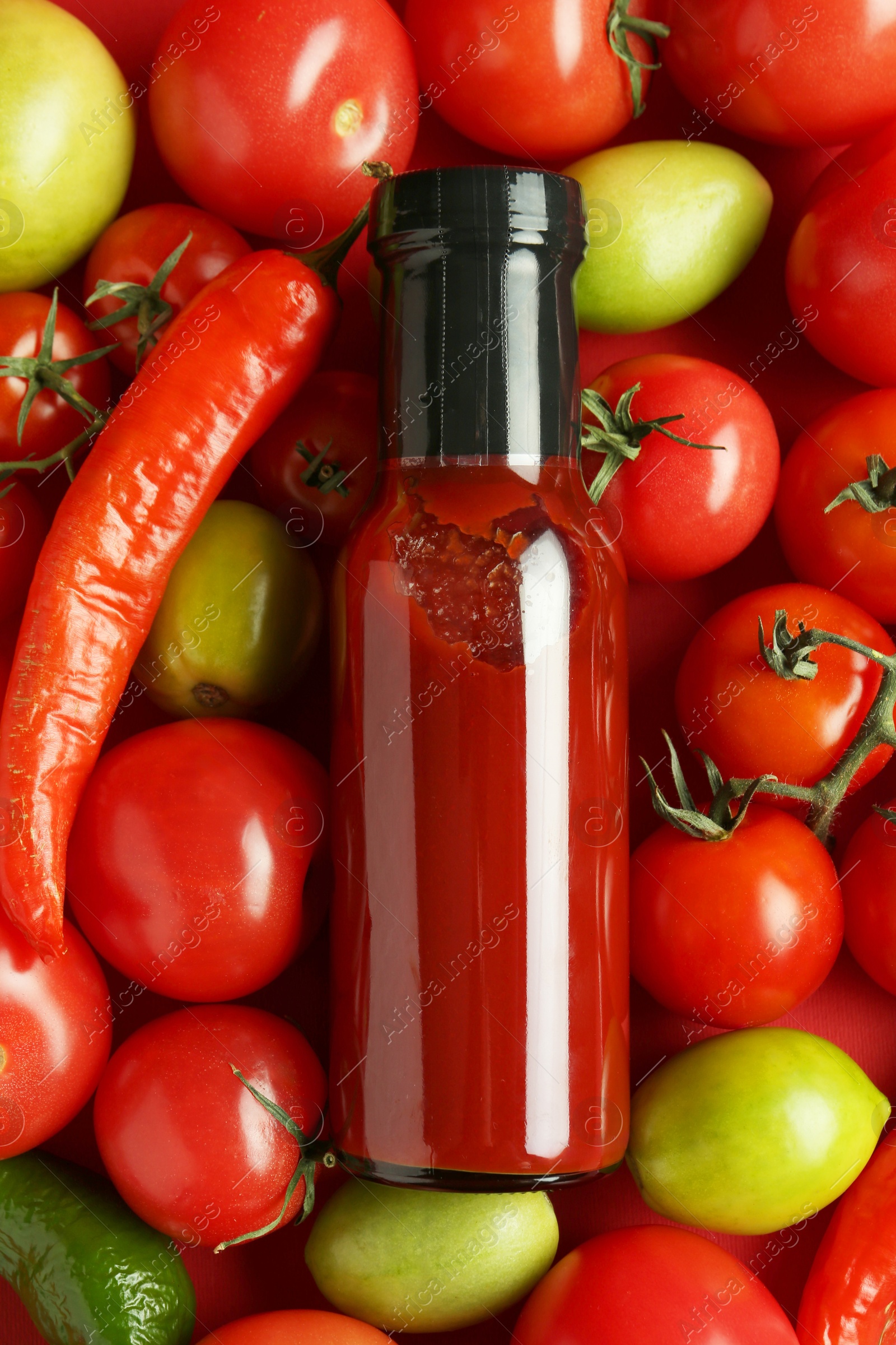 Photo of Tasty ketchup in bottle, chili and fresh tomatoes on red background, top view