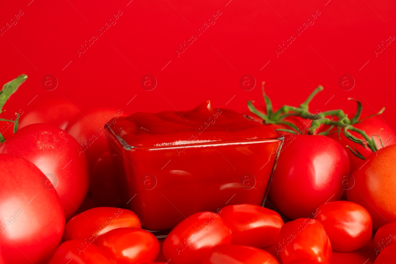 Photo of Ketchup in bowl and tomatoes on red background, closeup