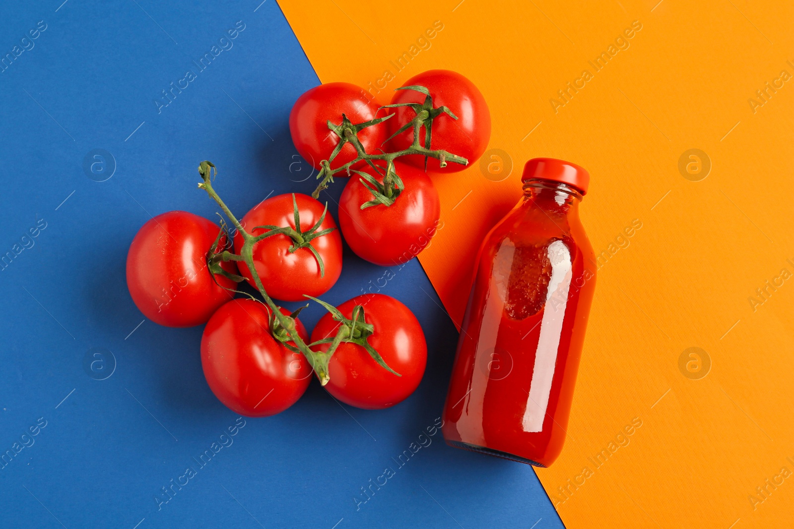 Photo of Tasty ketchup and tomatoes on color background, flat lay