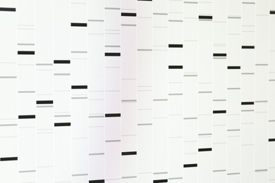 Photo of DNA analysis. Data with genetic information as background, closeup