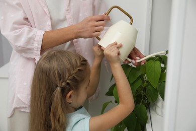 Photo of Little girl helping her mom watering houseplant at home