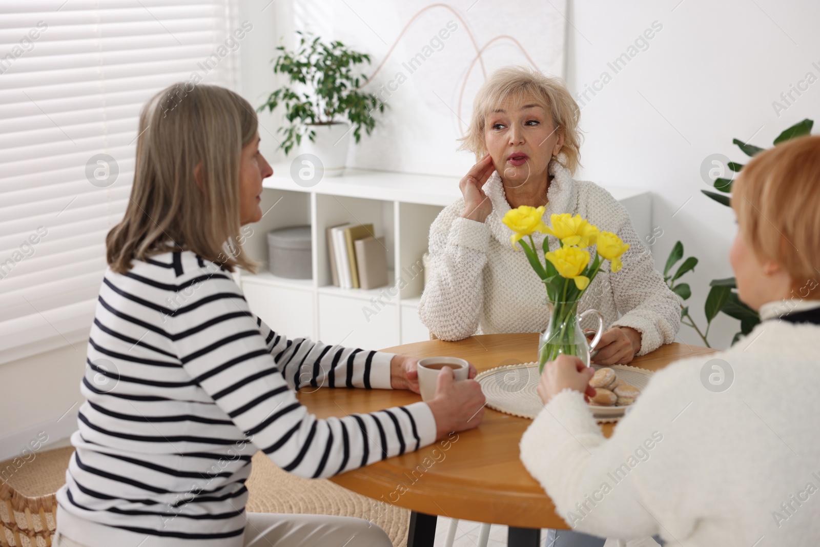 Photo of Friendship. Senior women enjoying hot drinks at table indoors