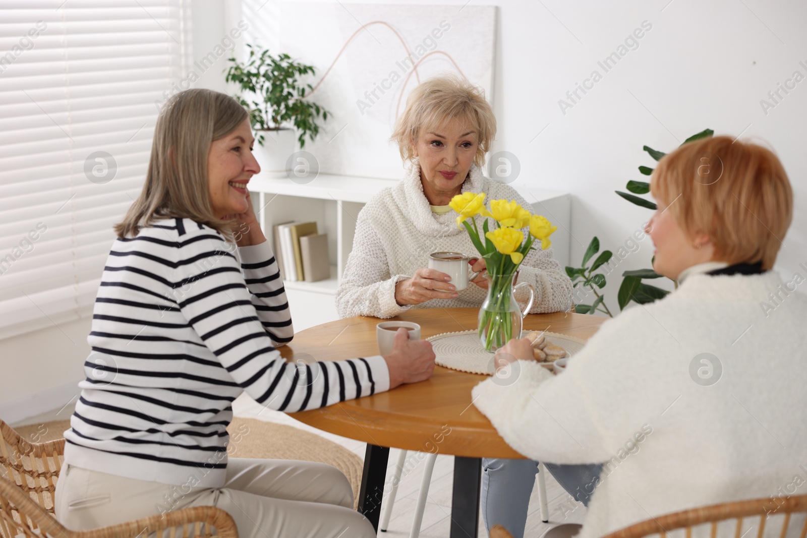 Photo of Friendship. Senior women enjoying hot drinks at table indoors