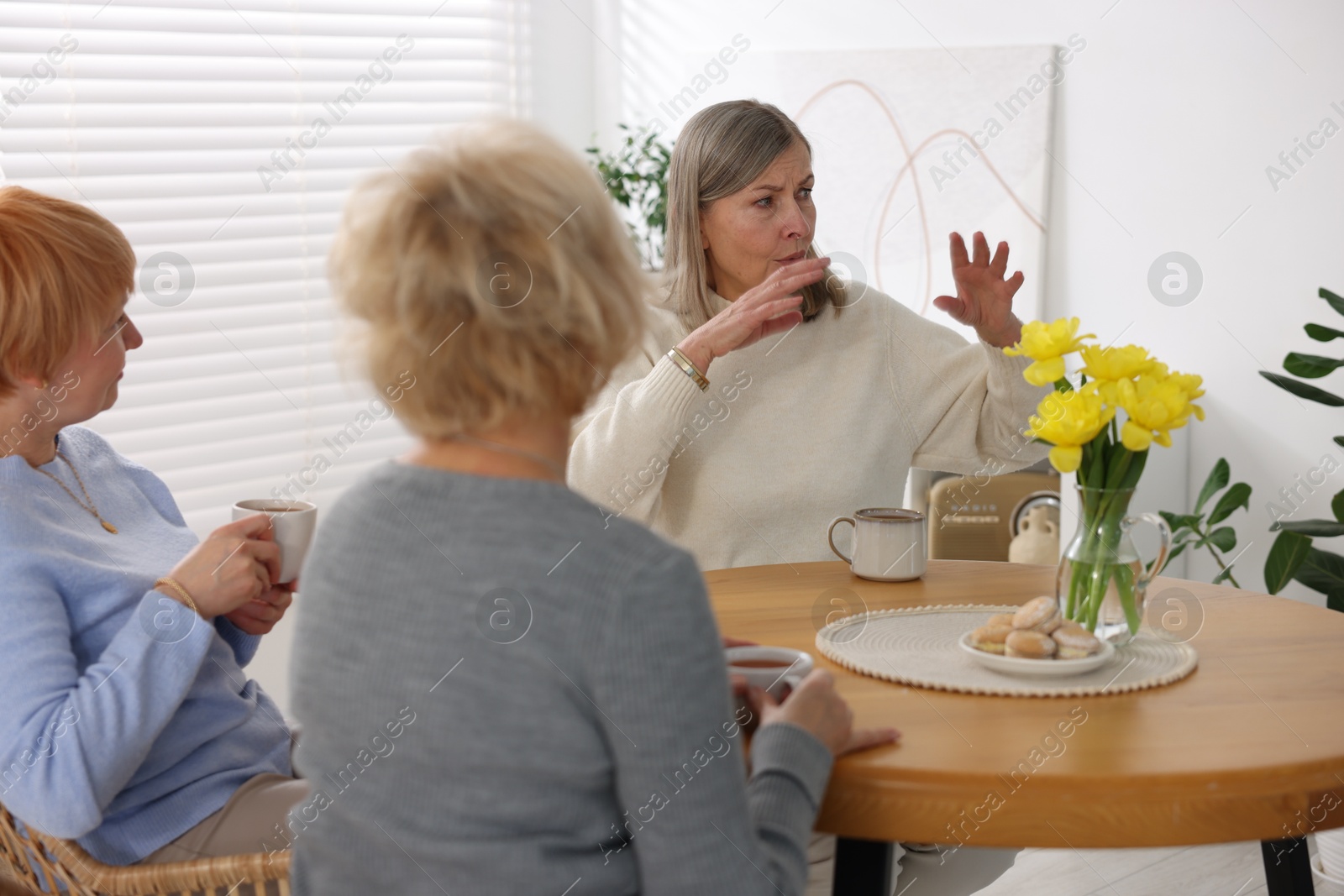 Photo of Friendship. Senior women enjoying hot drinks at table indoors