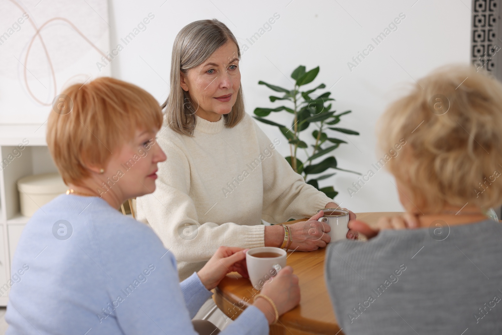 Photo of Friendship. Senior women enjoying hot drinks at table indoors