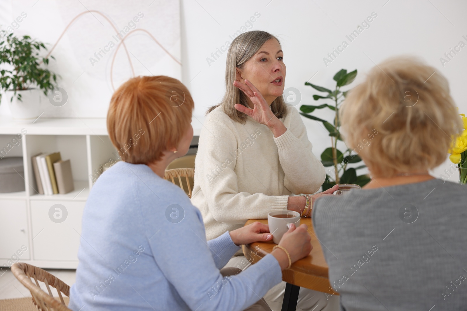 Photo of Friendship. Senior women enjoying hot drinks at table indoors