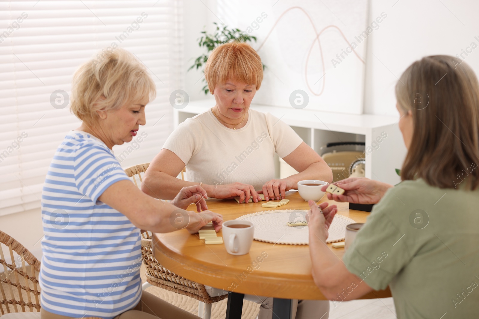 Photo of Friendship. Senior women playing dominoes at wooden table indoors